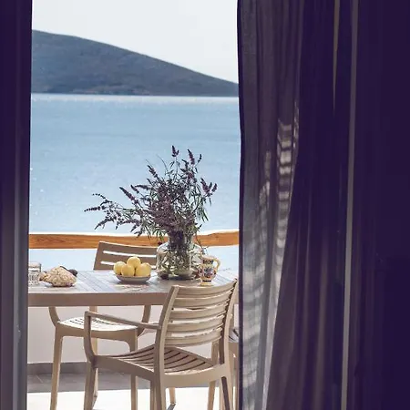 Vassiliki Skyros Island *